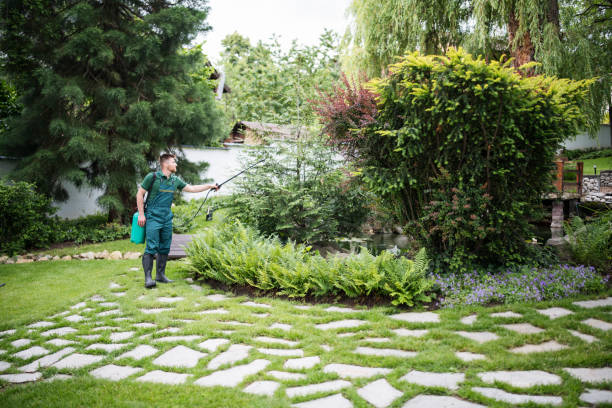 Best Ant Control Services  in James Island, SC