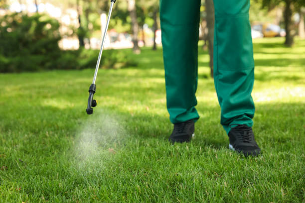 Pest Control for Restaurants in James Island, SC