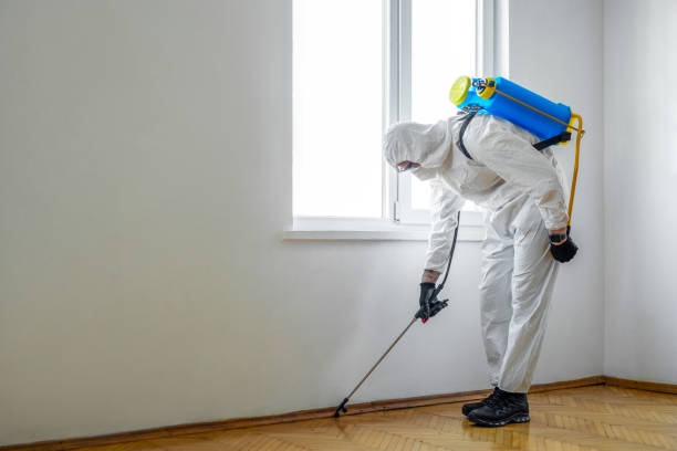 Best Local Pest Control Services  in James Island, SC