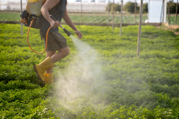 Best Exterminator Services  in James Island, SC