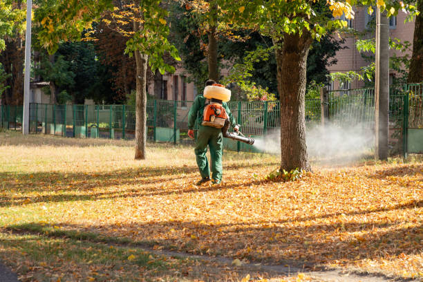 Professional Pest Control in James Island, SC