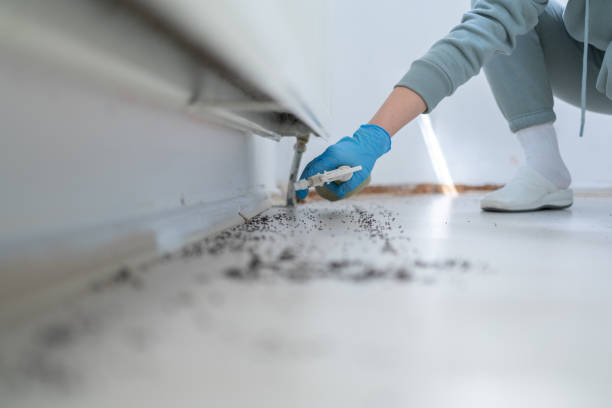 Best Commercial Pest Control Services  in James Island, SC